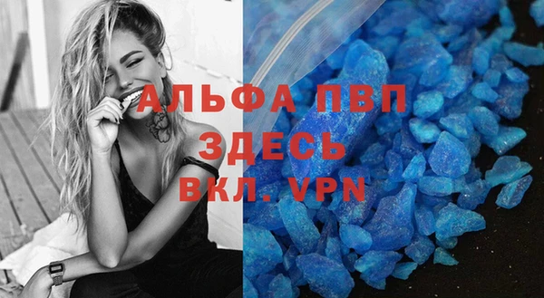 ГАЛЛЮЦИНОГЕННЫЕ ГРИБЫ Вязники