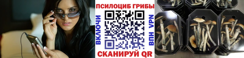 Купить закладки  Трёхгорный  Псилоцибиновые грибы Psilocybine cubensis 